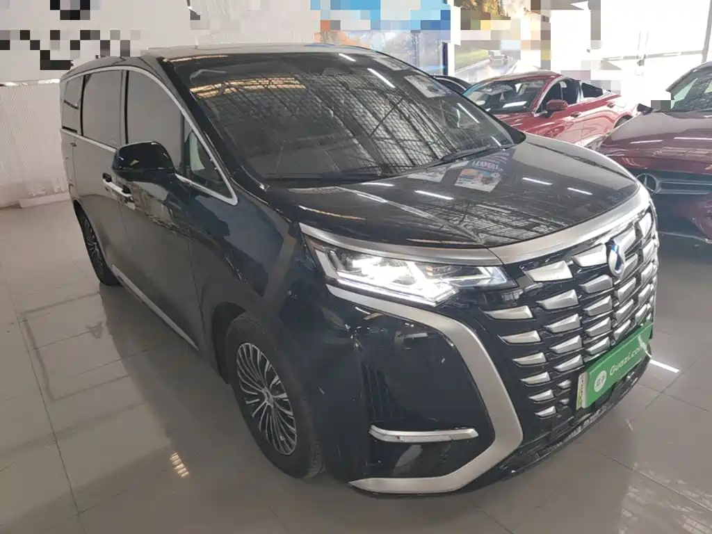 Denza Denza D9 — миниатюра 4
