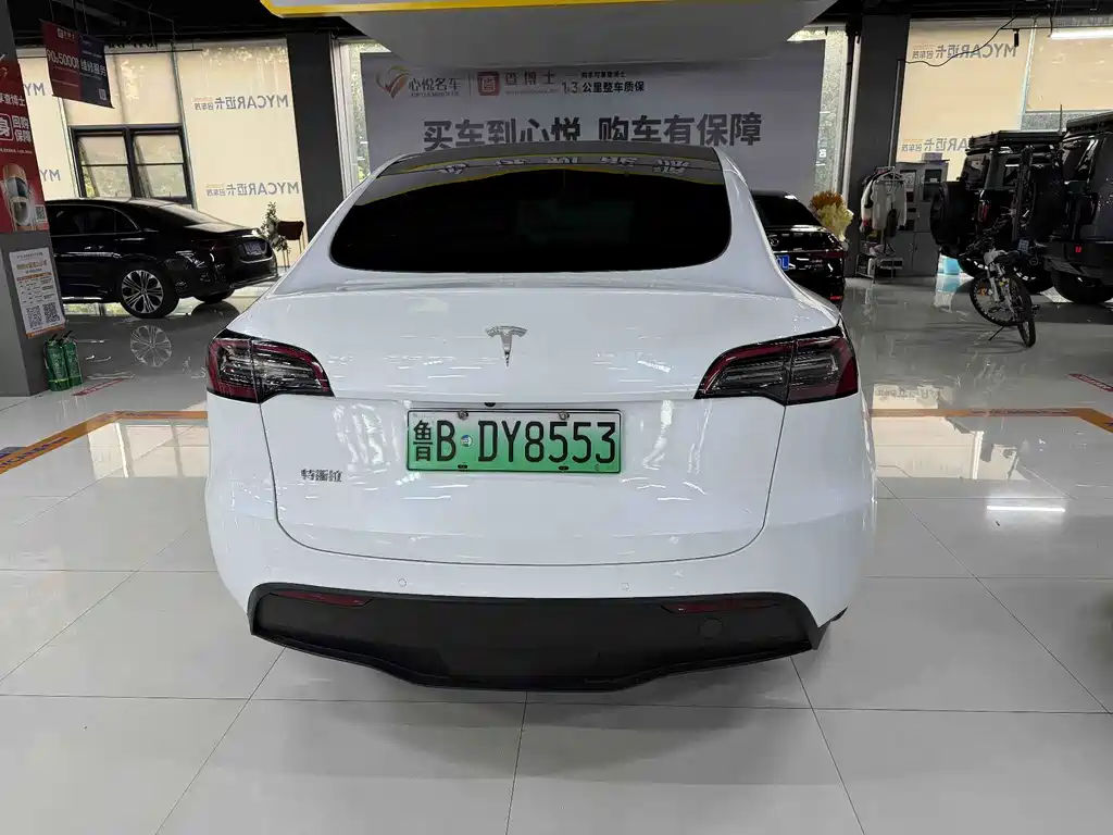 Tesla Model Y — миниатюра 8