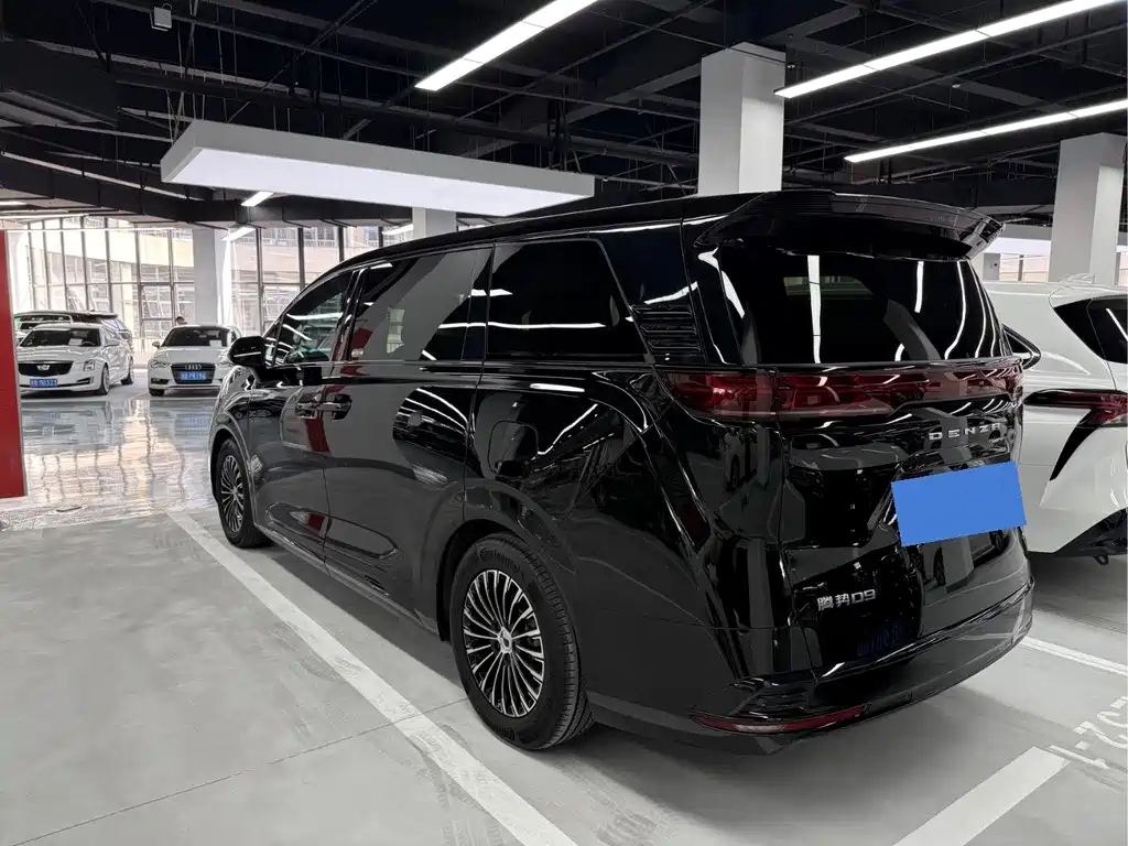 Denza Denza D9 — миниатюра 11