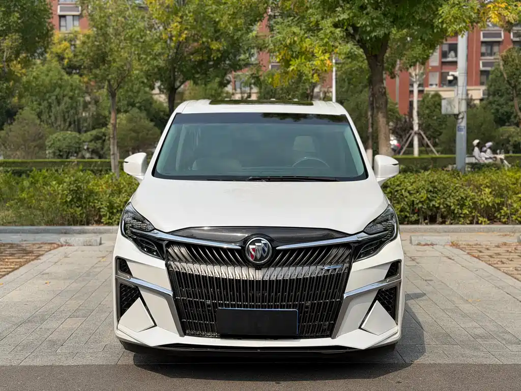 Buick GL8 — миниатюра 2