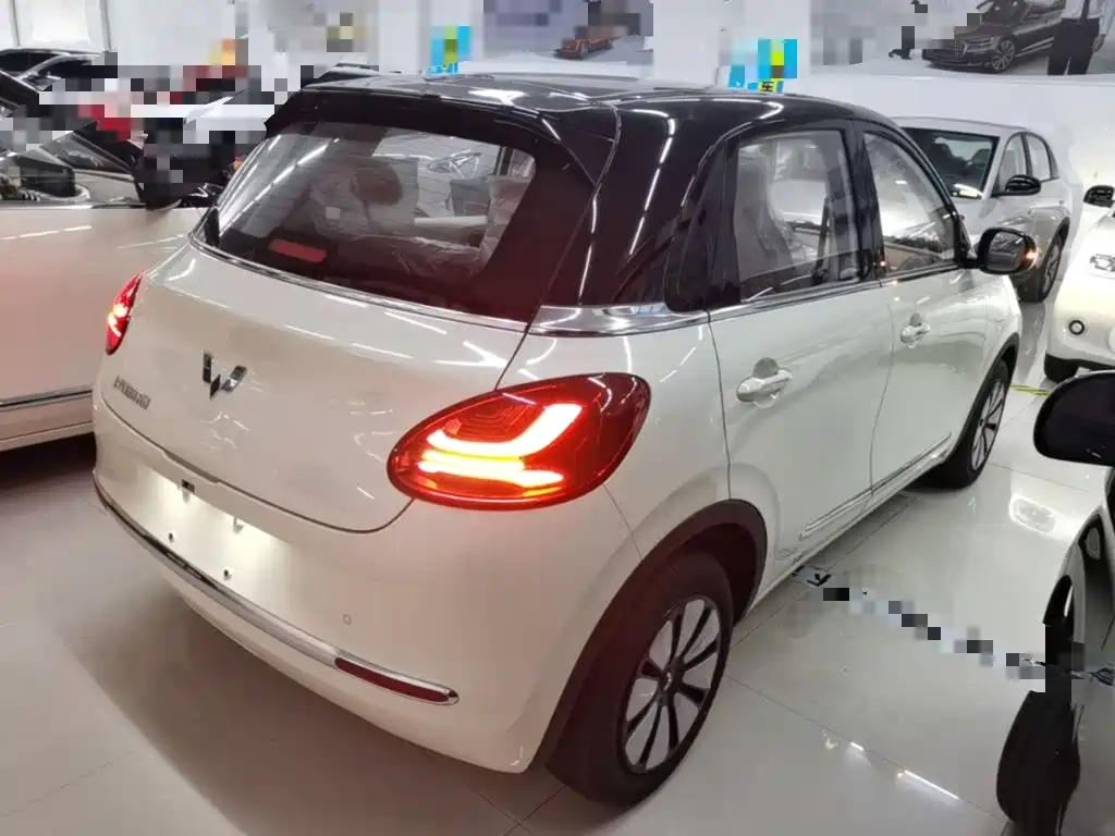 Wuling Binguo 2025 333km Enjoy