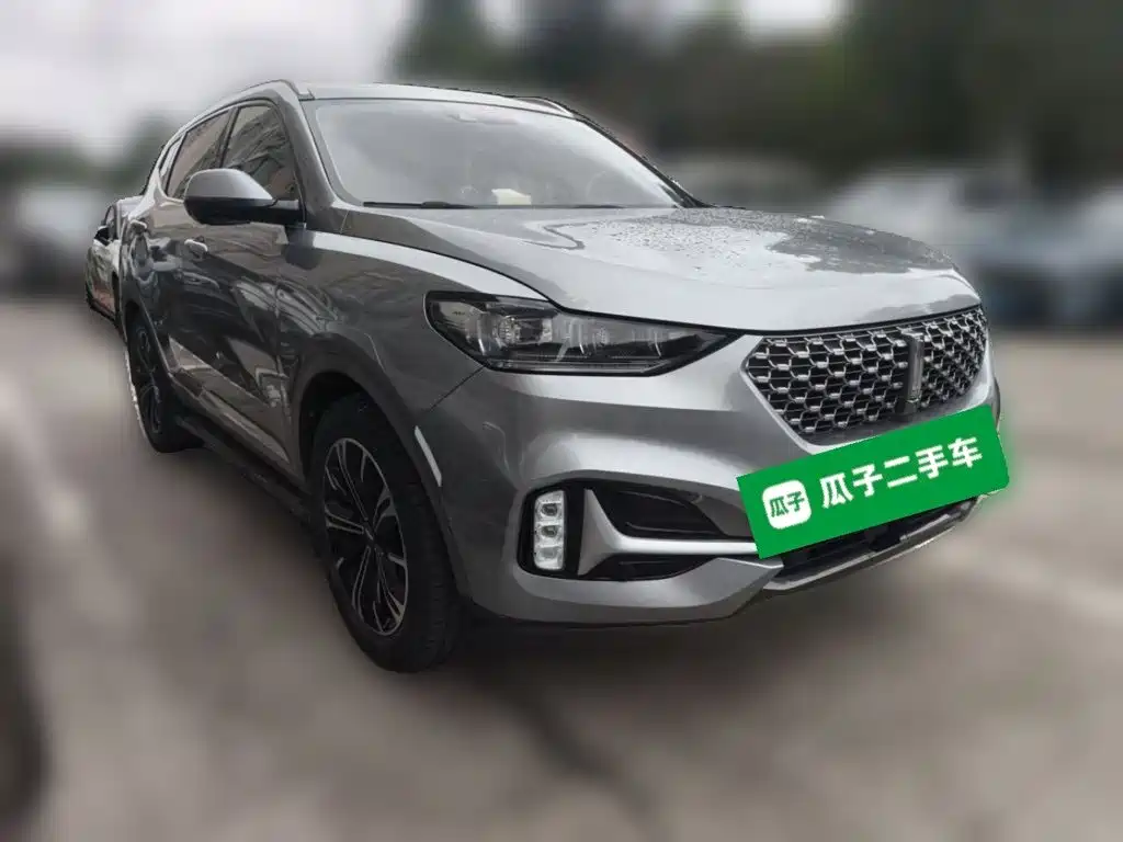 Wey Wey VV6 — миниатюра 24