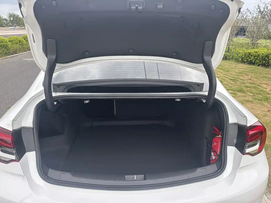 Buick Regal — миниатюра 16