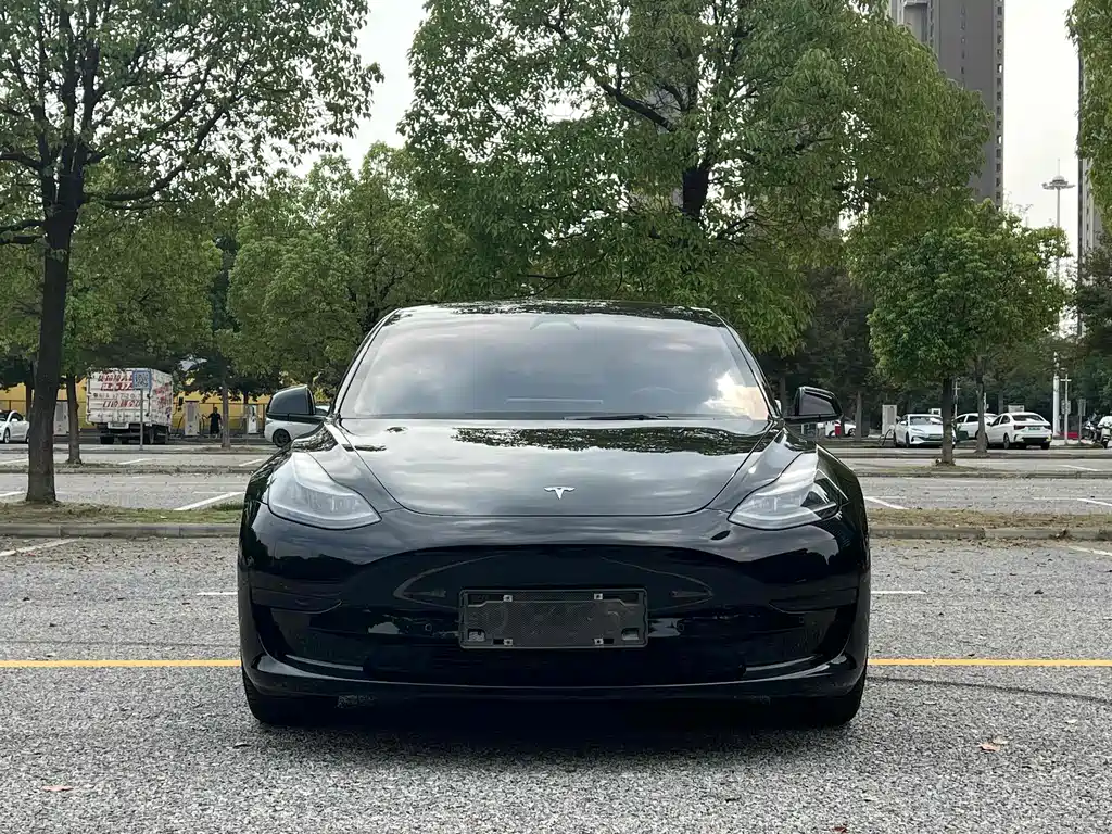 Tesla Model 3 — миниатюра 2