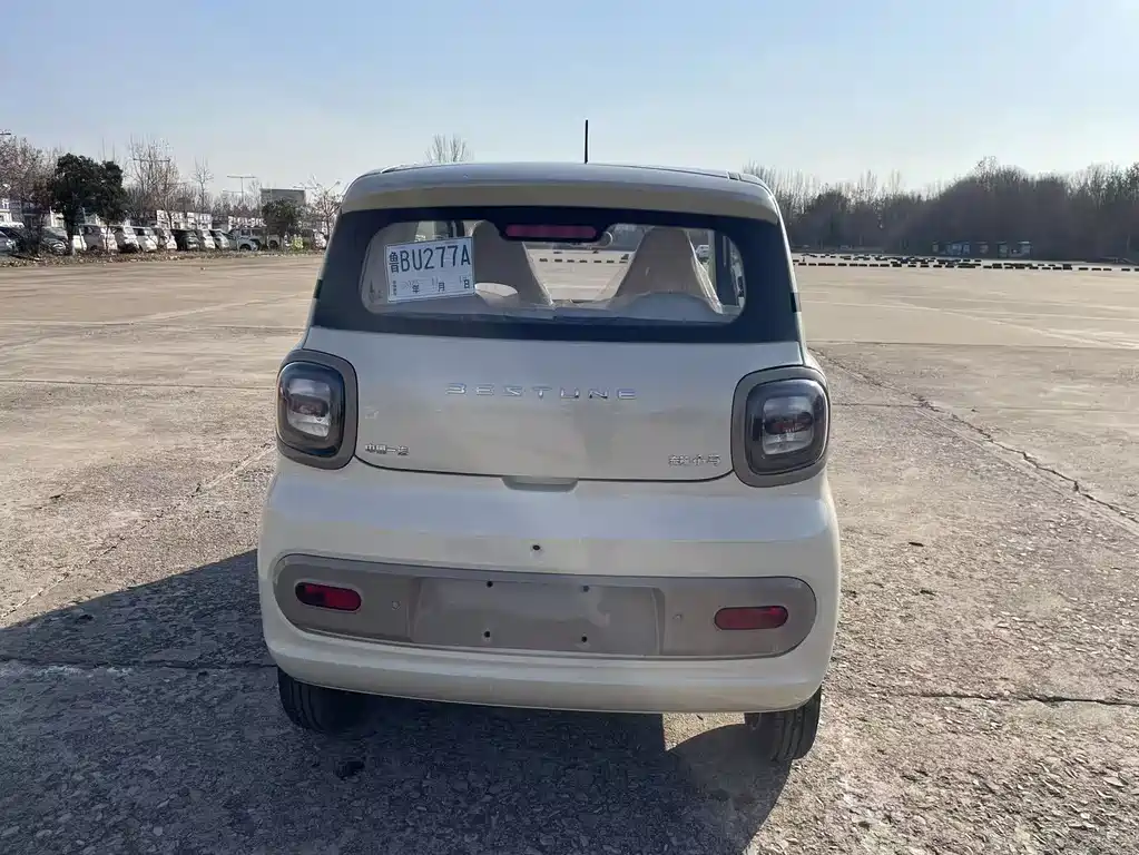 BESTUNE PENTIUM PONY