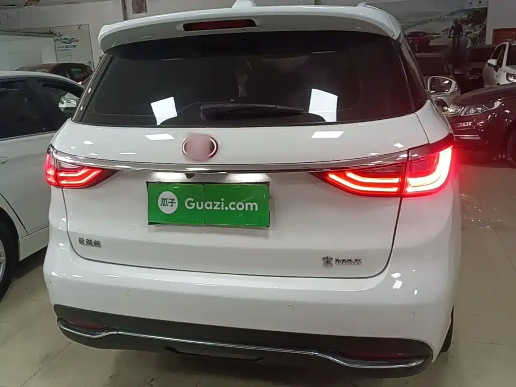 BYD MAX — миниатюра 6