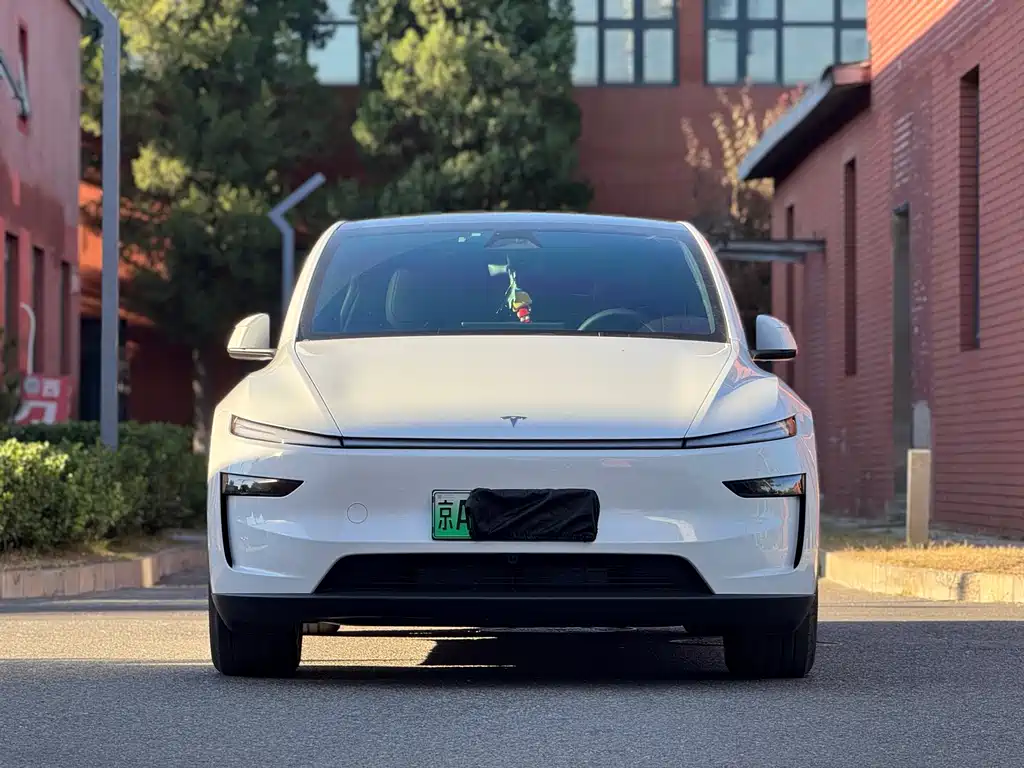 Tesla Model Y — миниатюра 2