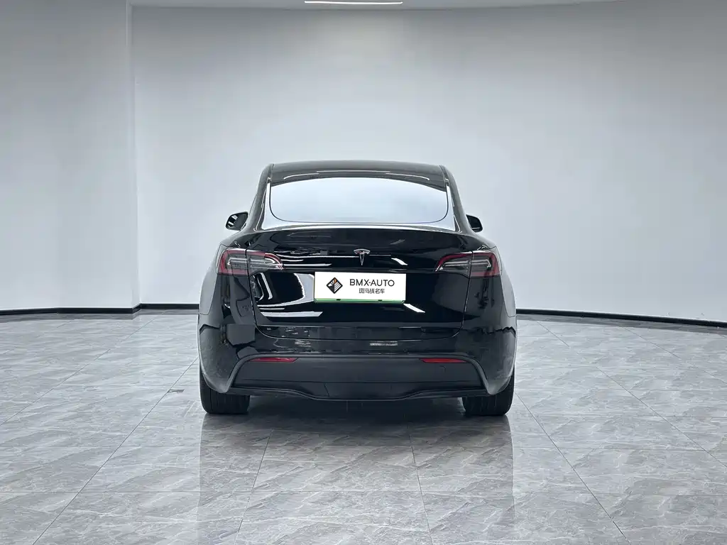 Tesla Model Y — миниатюра 5