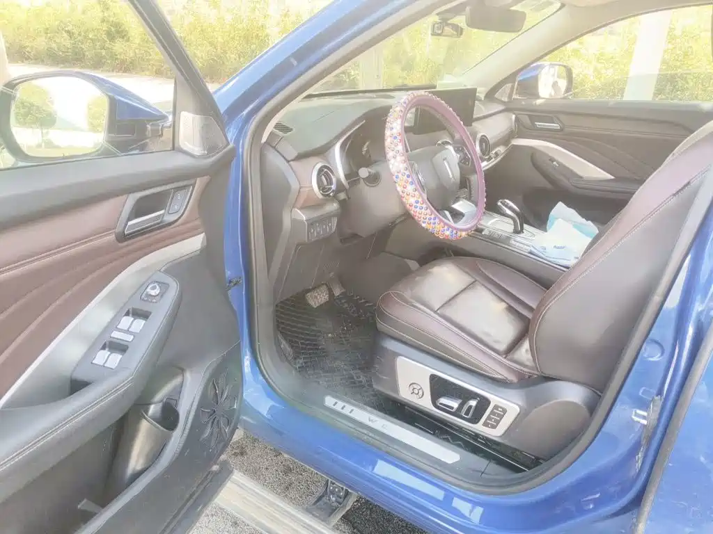 Wey Wey VV6 — миниатюра 12
