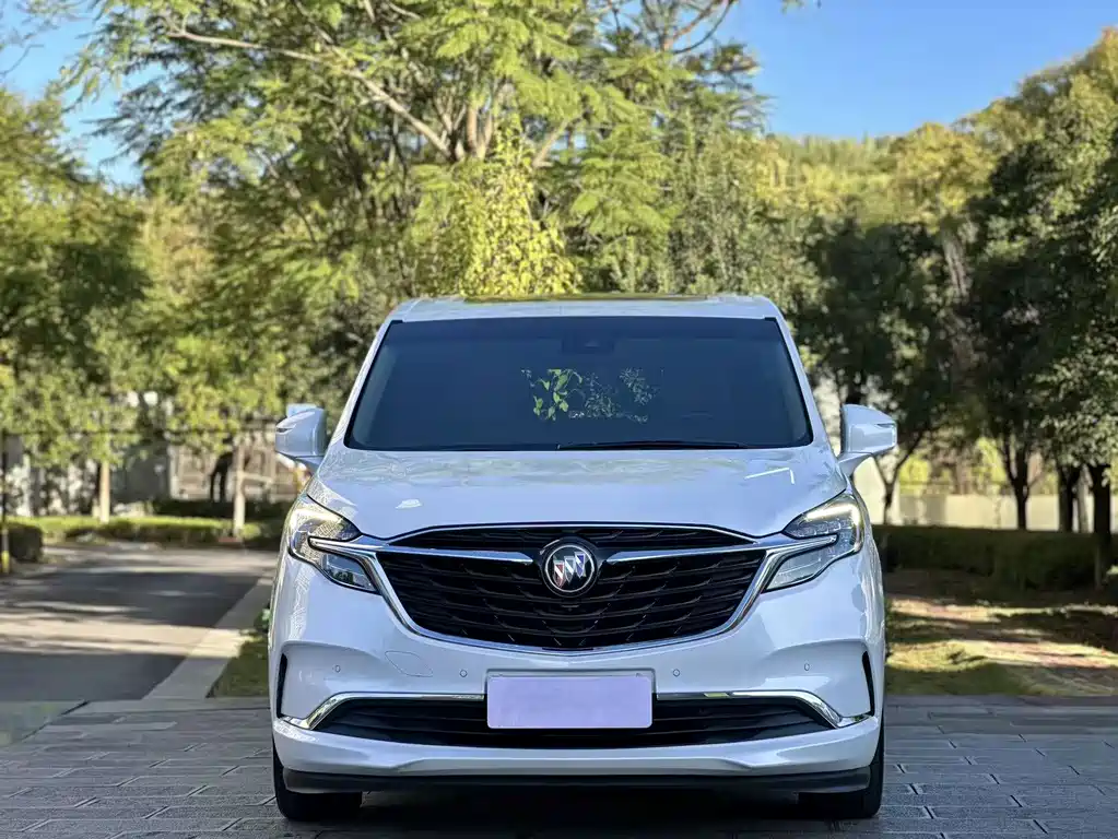Buick GL8 — миниатюра 2