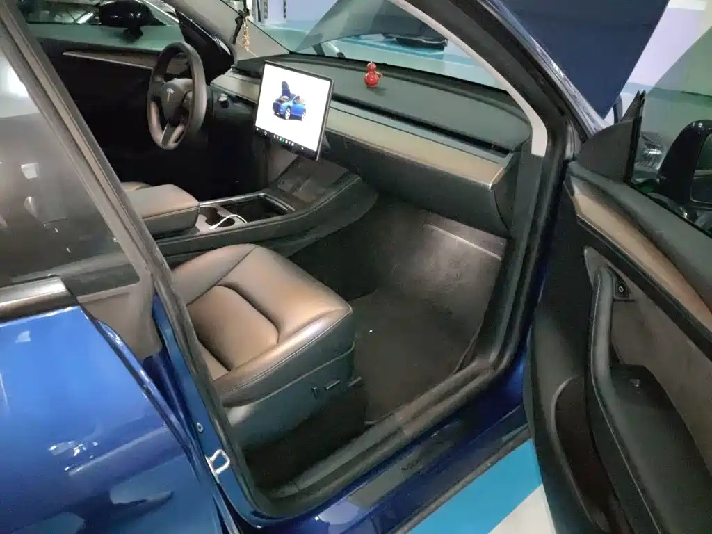 Tesla Model Y — миниатюра 19
