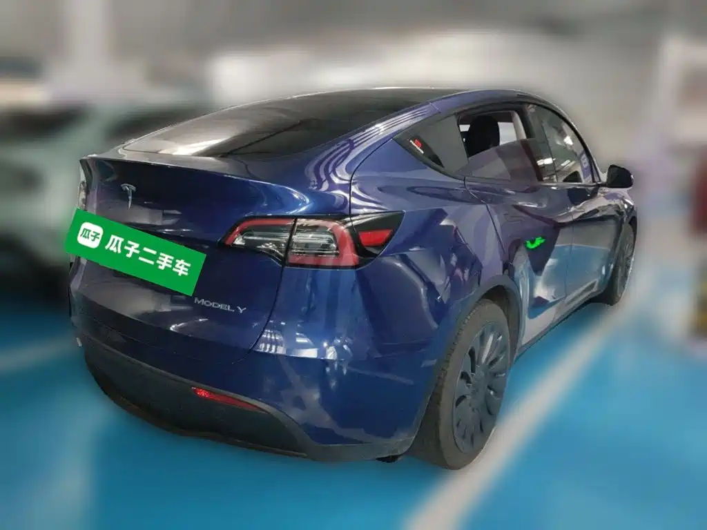 Tesla Model Y — миниатюра 4