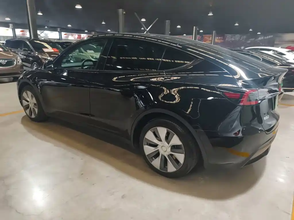 Tesla Model Y — миниатюра 5