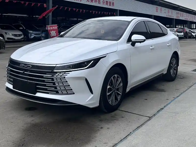 BYD Destroyer 05 2024 — фото 1
