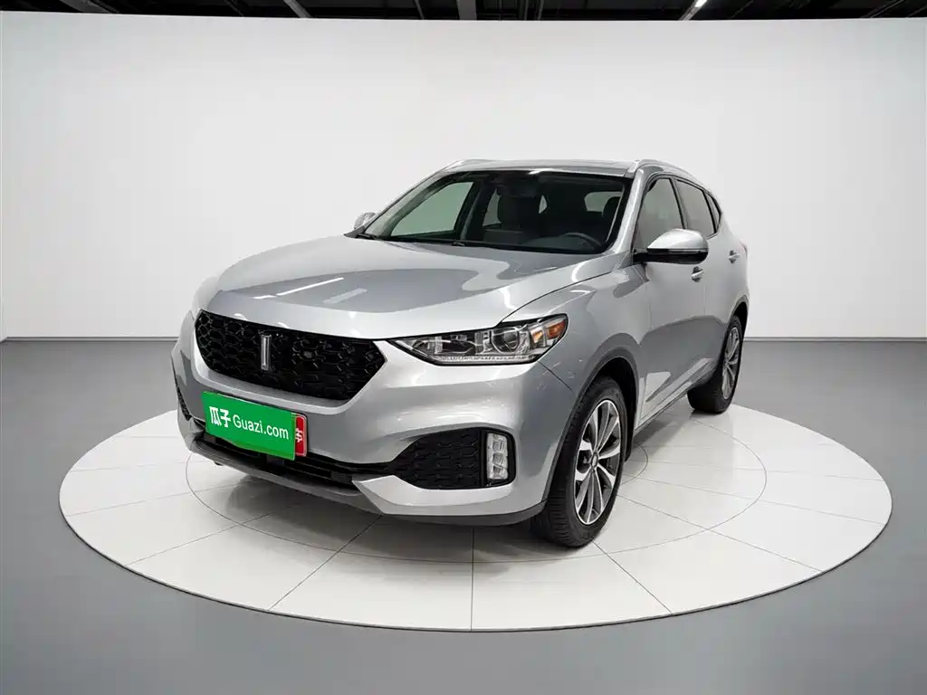 Wey Wey VV6 2019