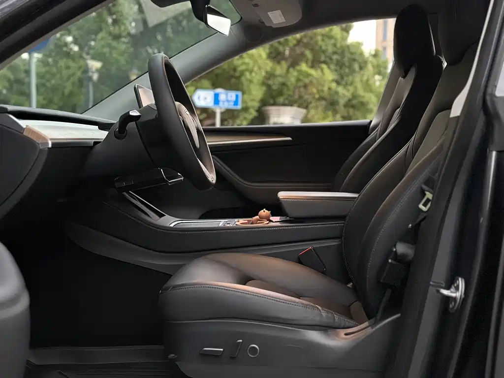 Tesla Model Y — миниатюра 10