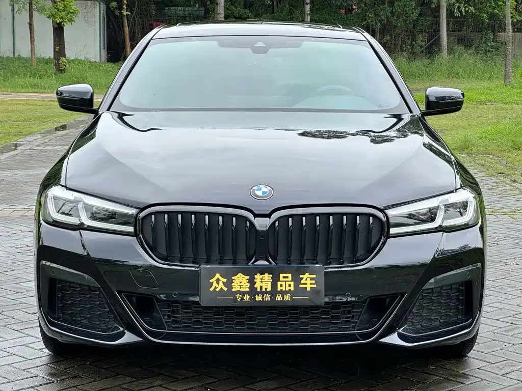 BMW 5 Series — миниатюра 2