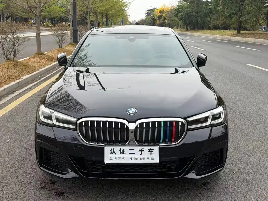 BMW 5 SERIES