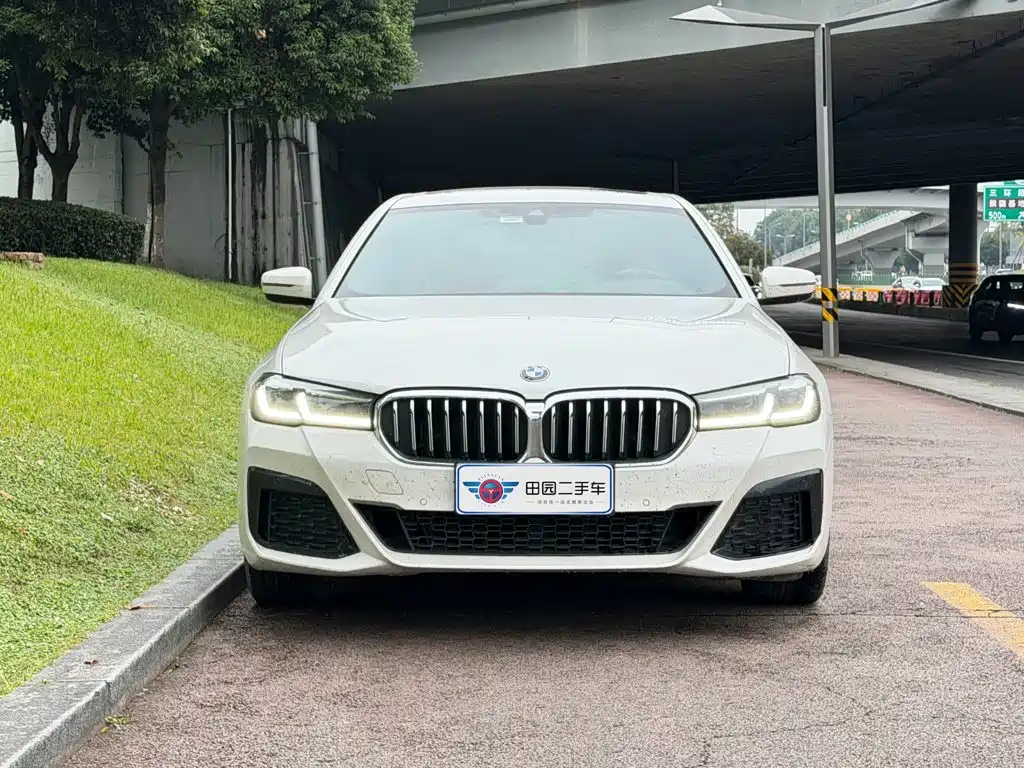 BMW 5 Series — миниатюра 2