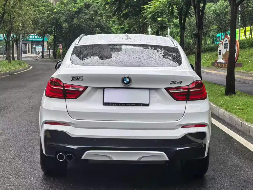 BMW X4 — миниатюра 6
