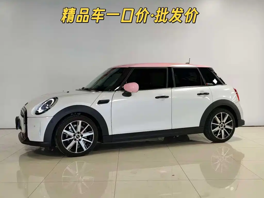 Mini Mini 2023