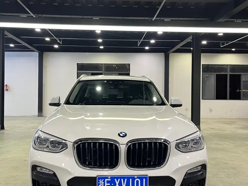 BMW  X3