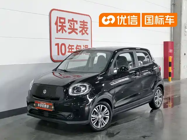 2021 Leapmotor T03
