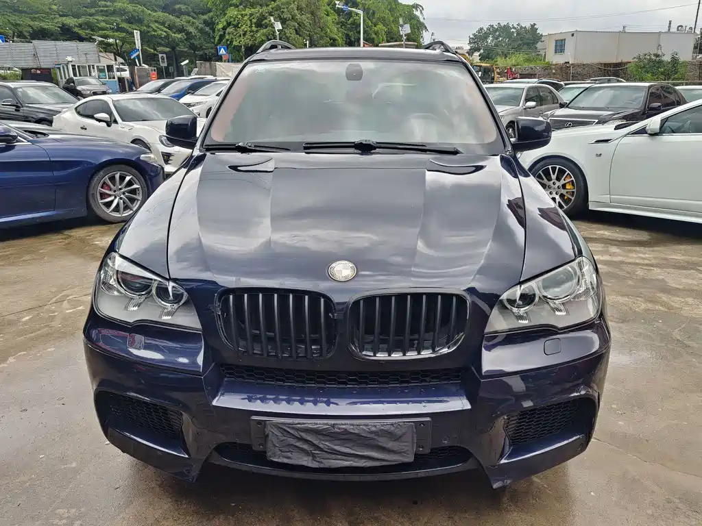 BMW X5 (Import) — миниатюра 57