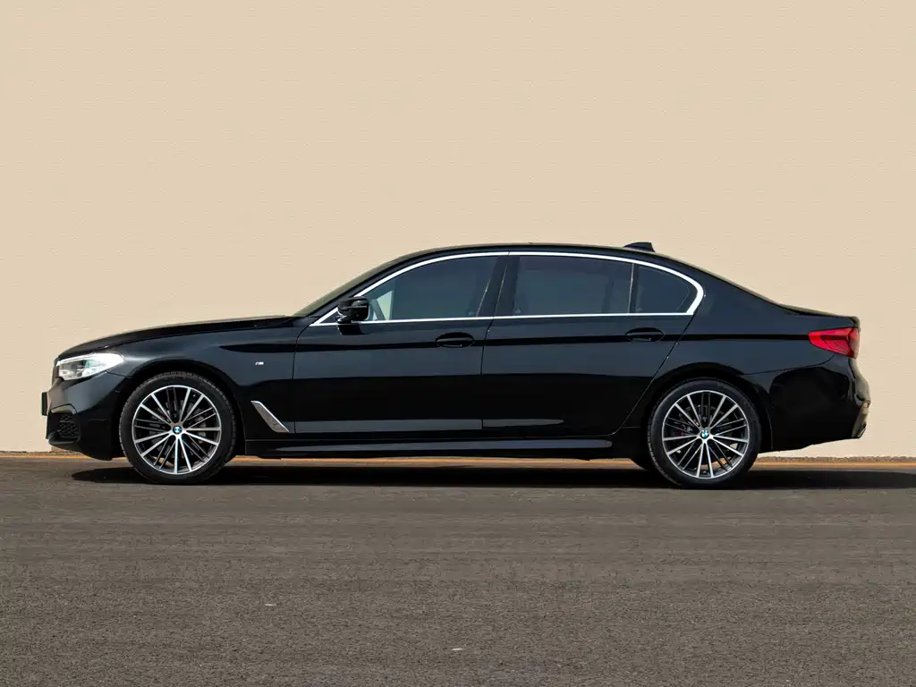 BMW 5 Series 5 2020 530Li xDrive M Sport