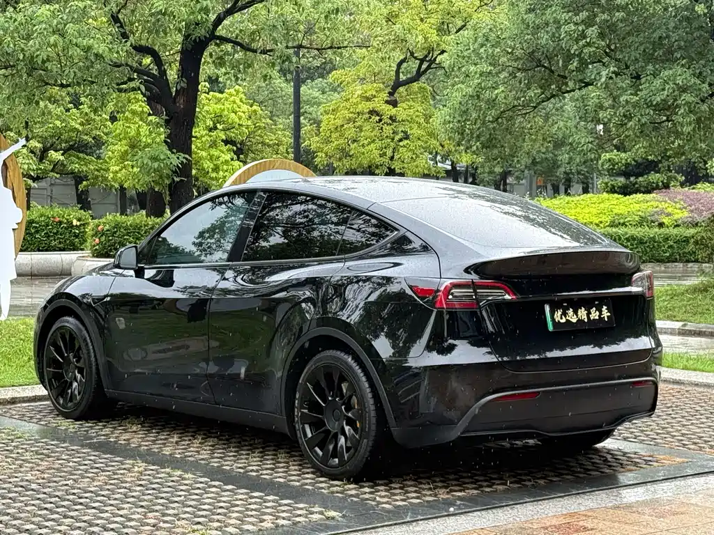 Tesla Model Y — фотографии объявления, Фото 8