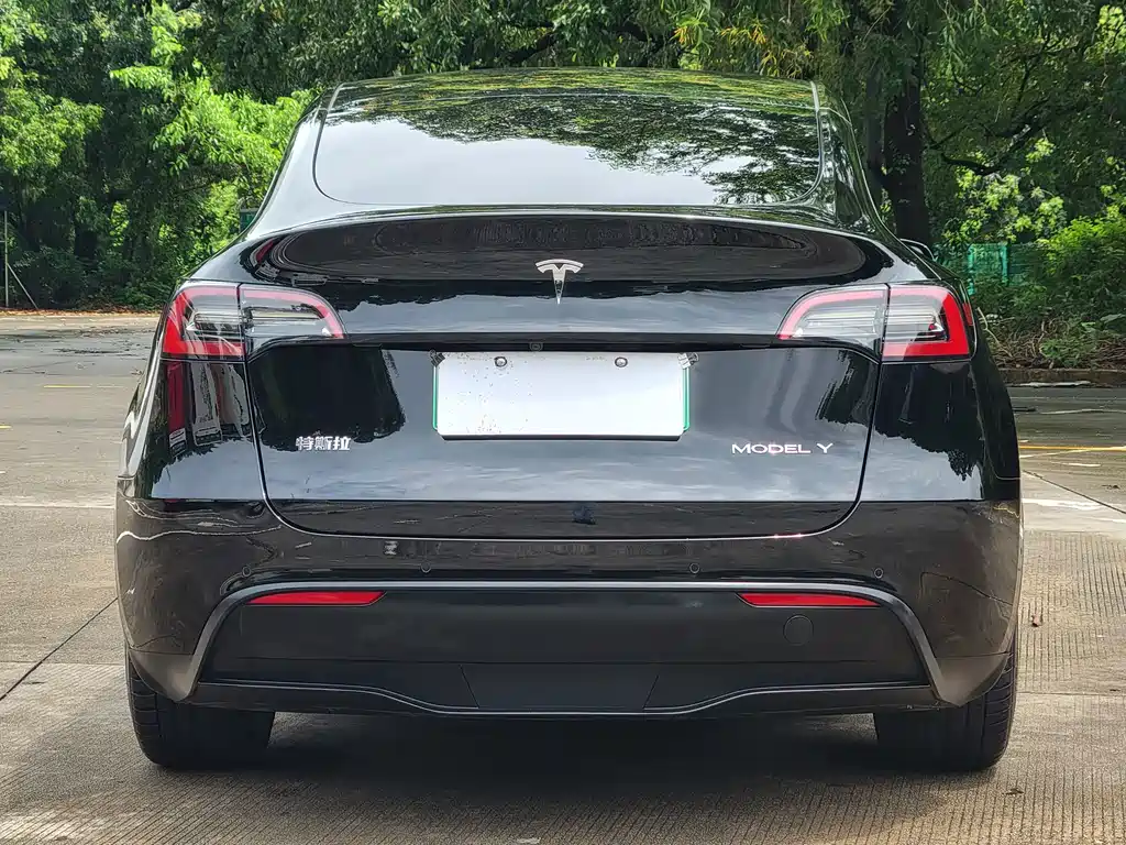 Tesla Model Y — миниатюра 15