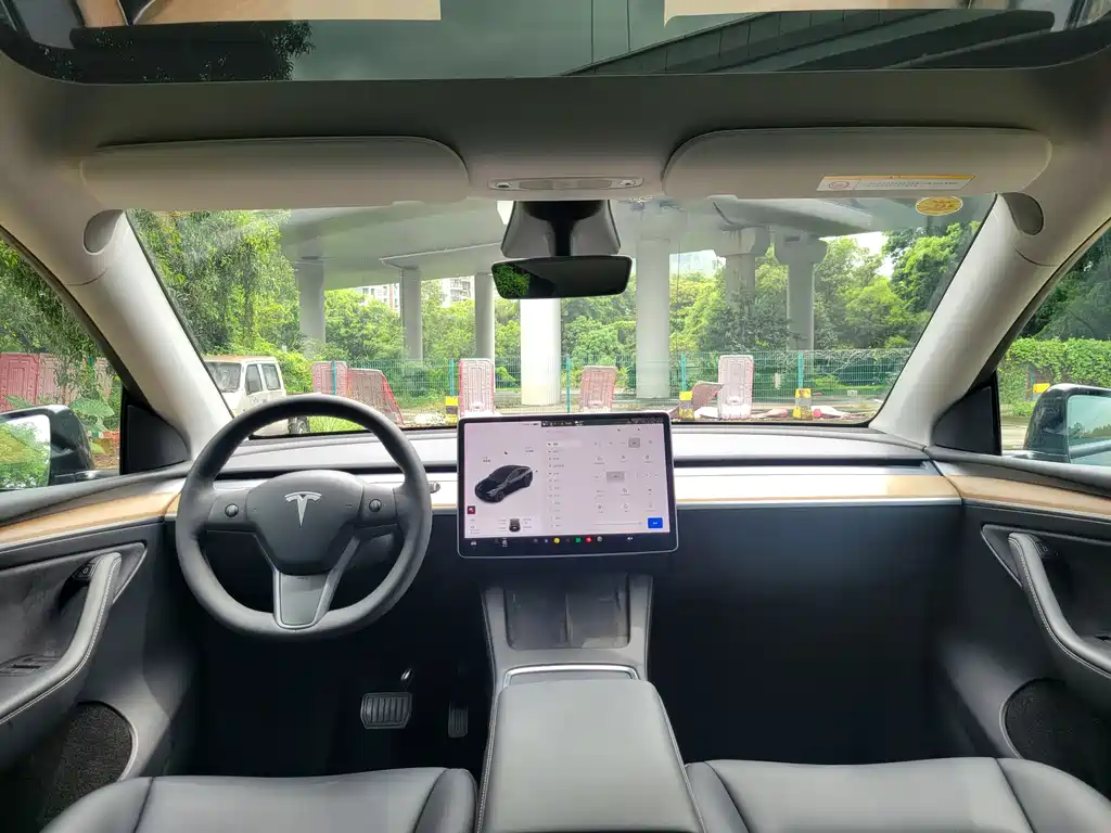 Tesla Model Y — миниатюра 20