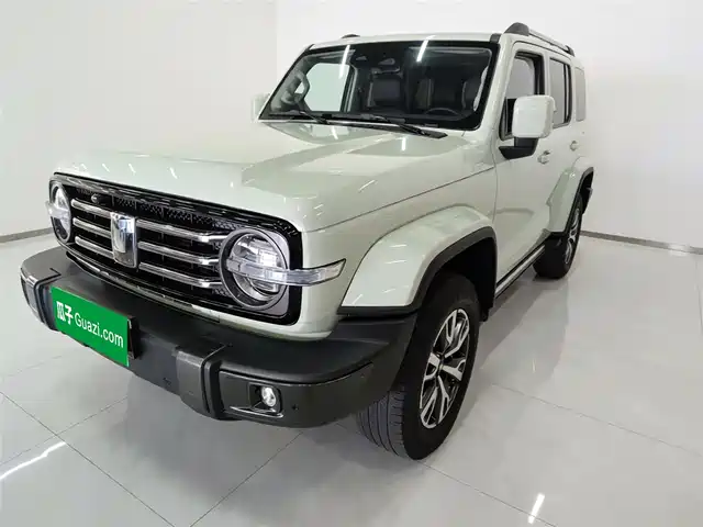 2022 TANK 300
