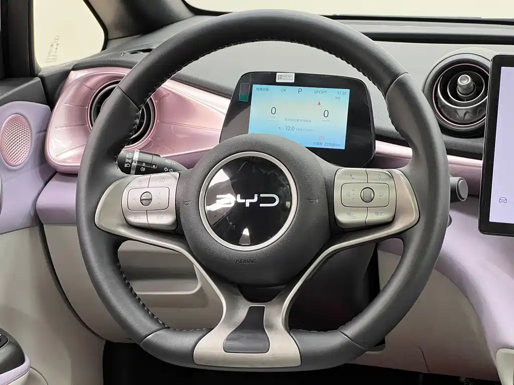 BYD Dolphin — миниатюра 26