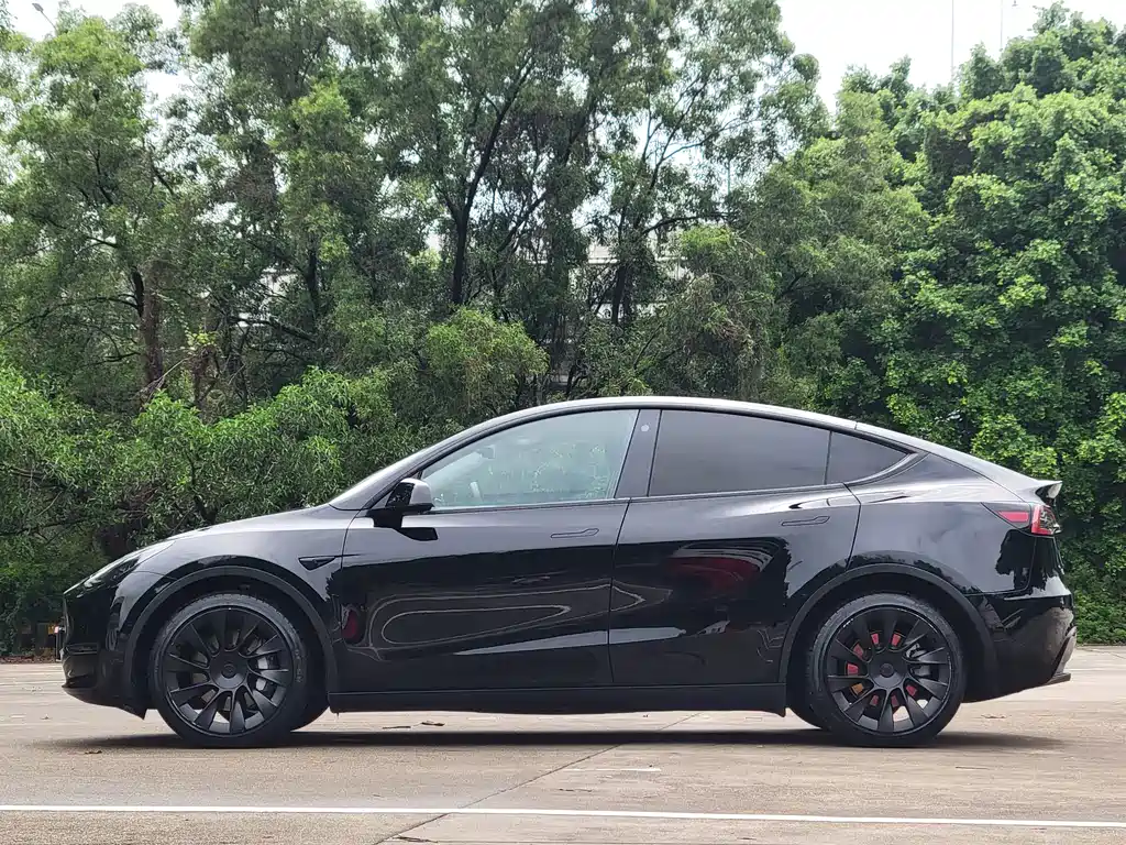 Tesla Model Y — миниатюра 7