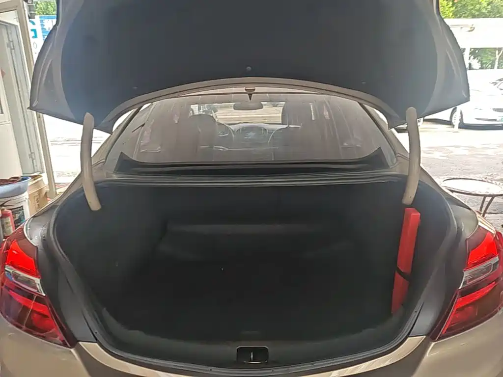 Buick Regal — миниатюра 19