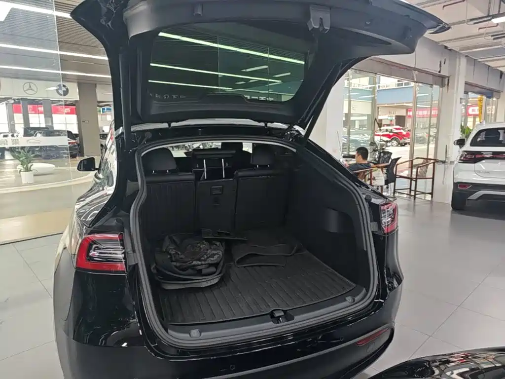 Tesla Model Y — миниатюра 19