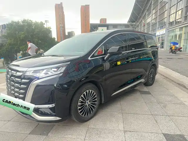 2024 Denza D9