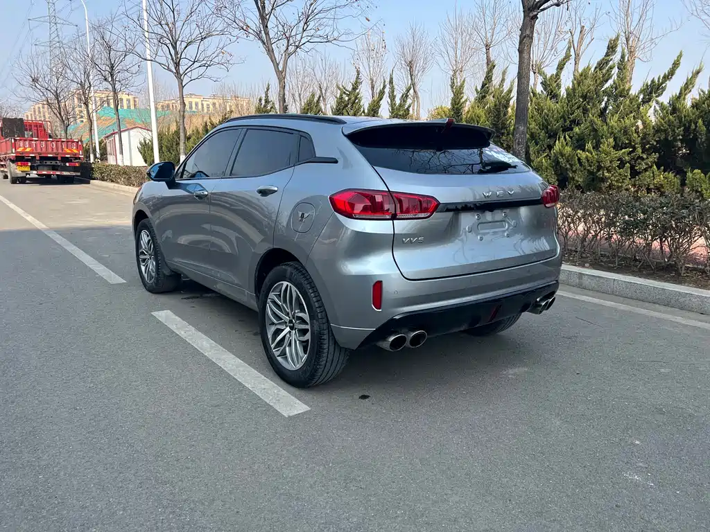 WEI PAI WEI BRAND VV5