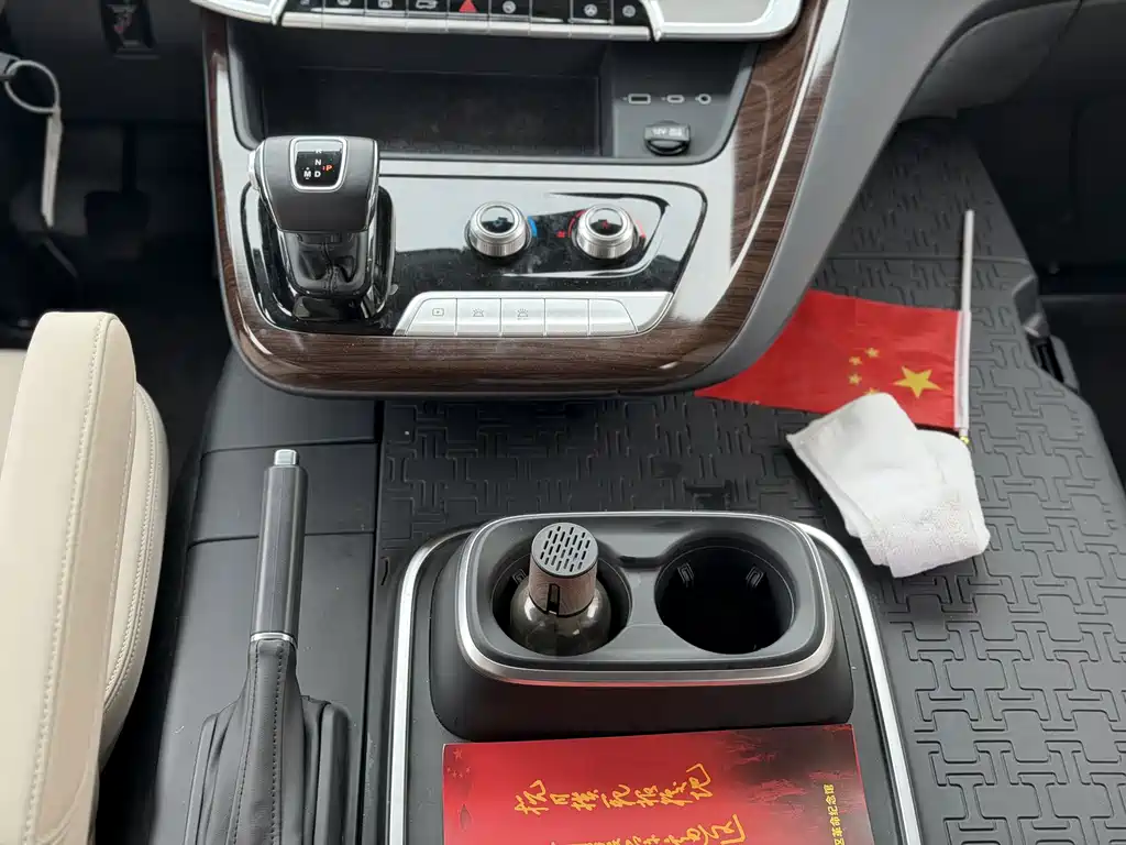 Hongqi Hongqi Golden Sunflower Guoyue — миниатюра 16