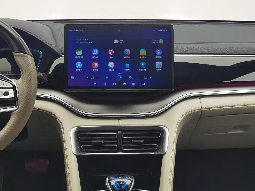 BYD PLUS New Energy — миниатюра 12