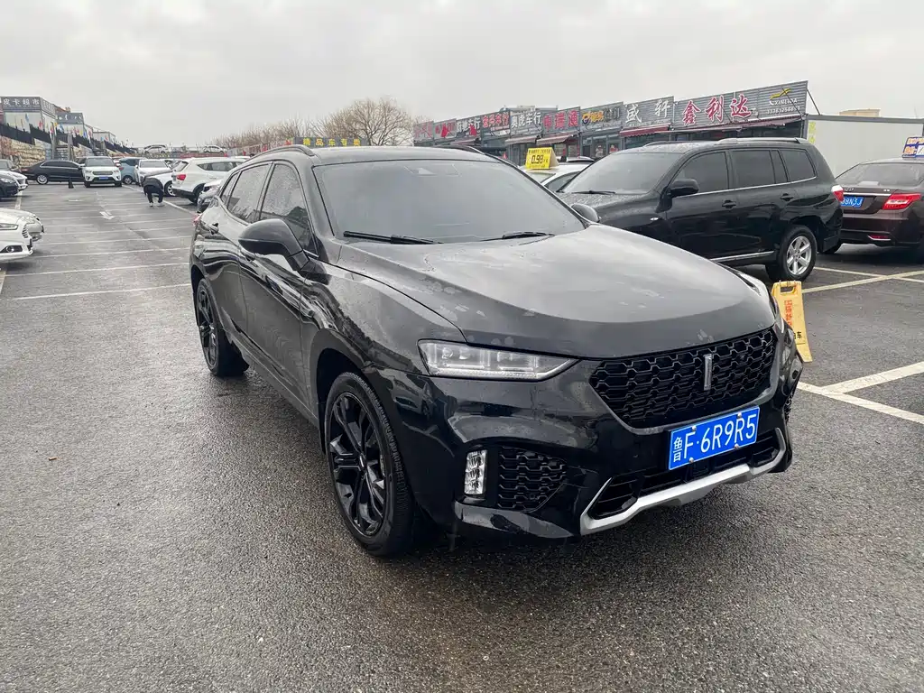 WEI PAI WEI BRAND VV7