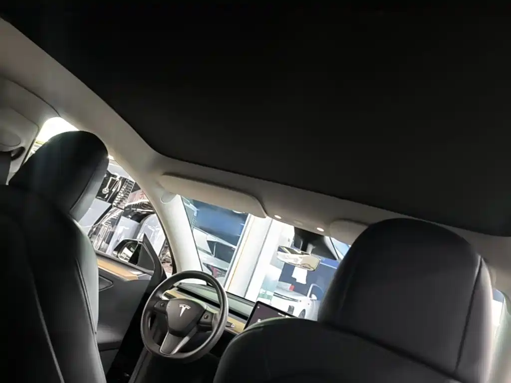 Tesla Model Y — миниатюра 14