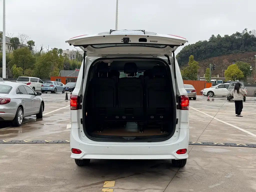 SAIC MAXUS CHASE G10