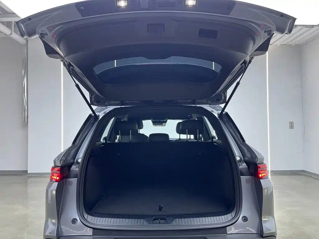 BYD Pro New Energy — миниатюра 7