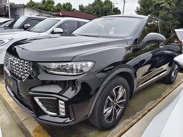 wei-pai wei-brand-vv5