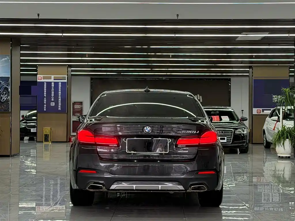 BMW 5 SERIES