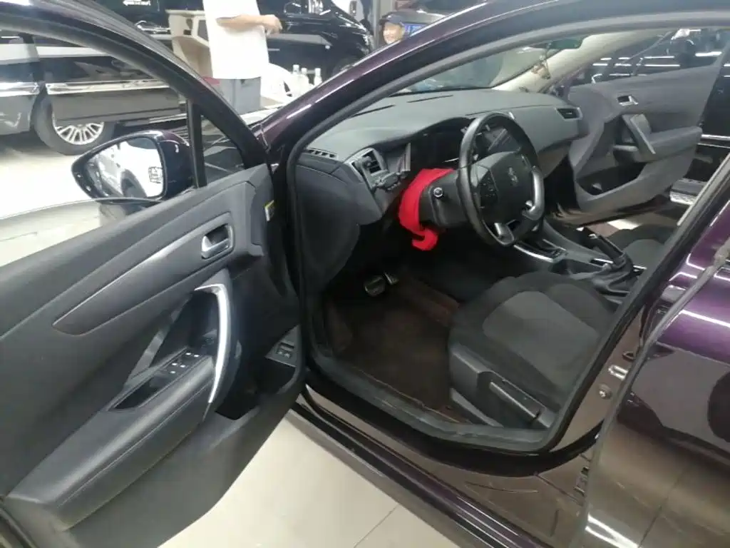 DS DS 5LS — миниатюра 16
