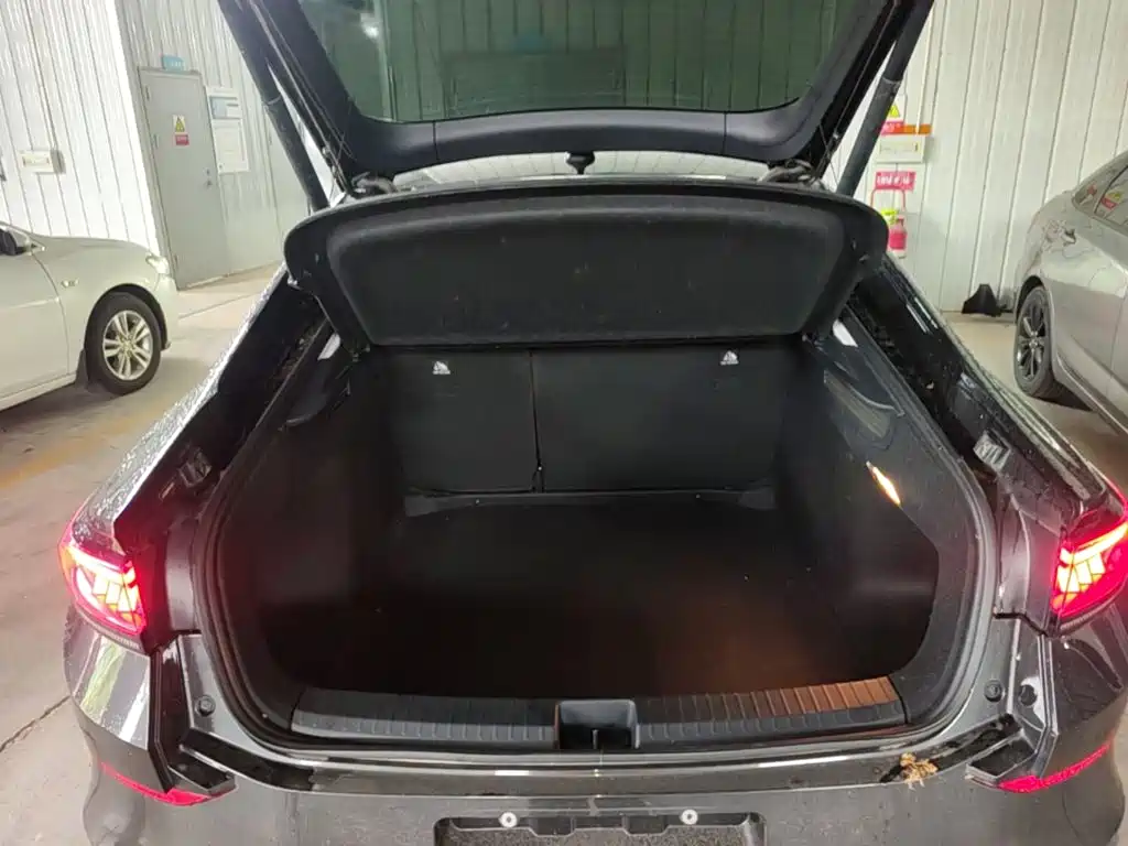 Volkswagen Lamando — миниатюра 19