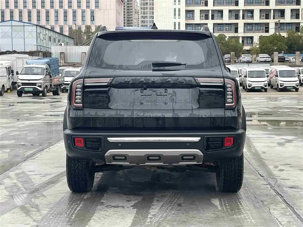 HAVAL BIG DOG